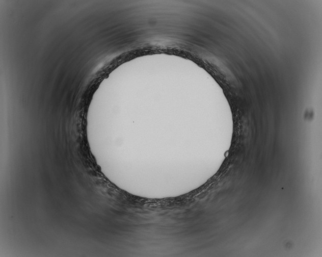 X0000101680776200808071108