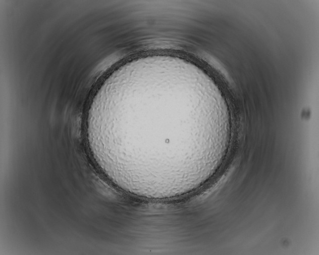 X0000101680777200808071108