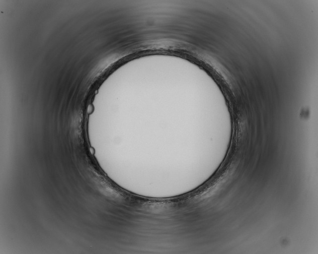 X0000101680778200808071108