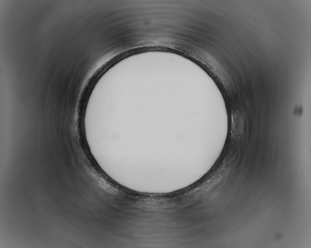 X0000101680780200808071108