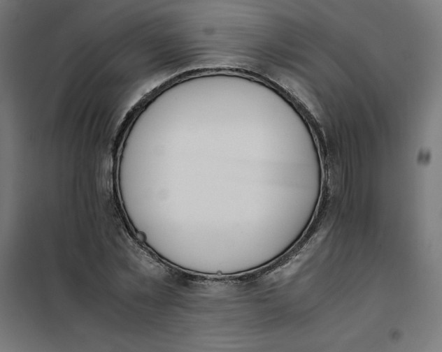 X0000101680781200808071108
