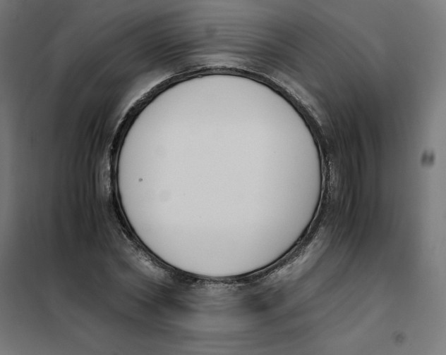 X0000101680782200808071108