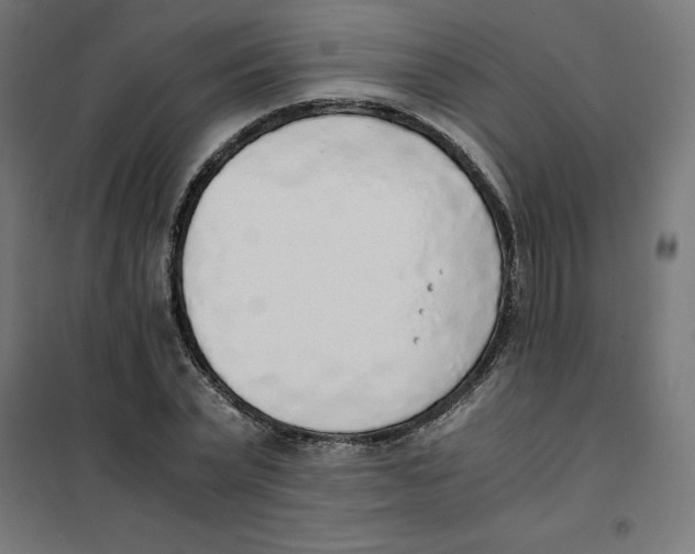 X0000101680783200808071108
