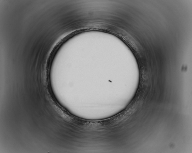X0000101680784200808071108