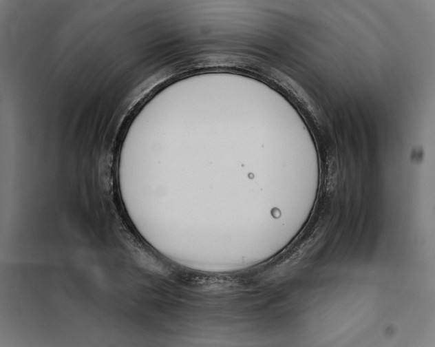 X0000101680786200808071108