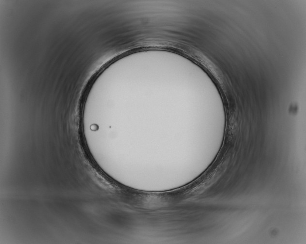 X0000101680787200808071108