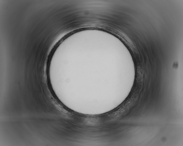 X0000101680788200808071108