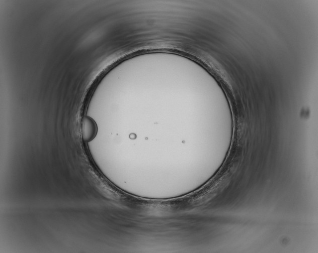 X0000101680789200808071108