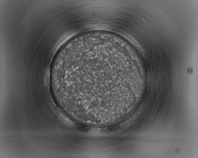 X0000101680790200808071108