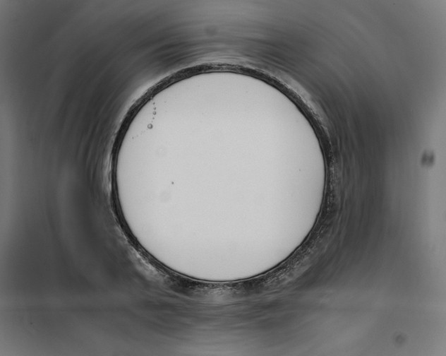 X0000101680791200808071108