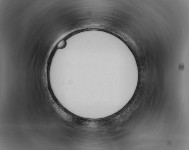 X0000101680792200808071108