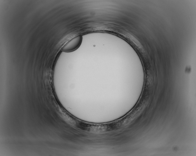 X0000101680793200808071108