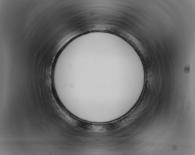 X0000101680794200808071108