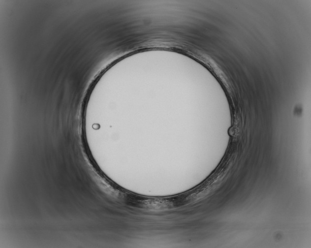 X0000101680795200808071108