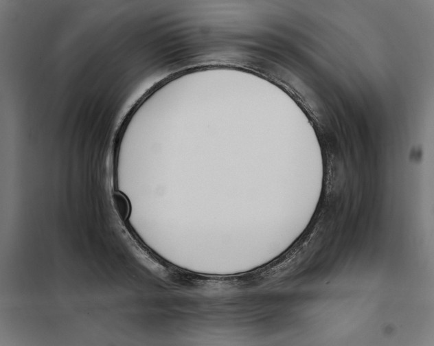 X0000101680796200808071108