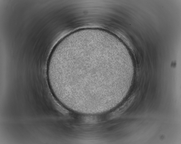 X0000101680797200808071108