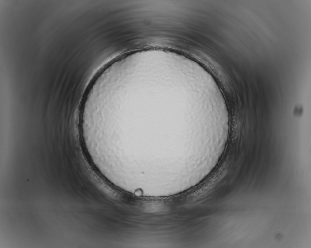 X0000101680798200808071108