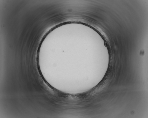 X0000101680799200808071108