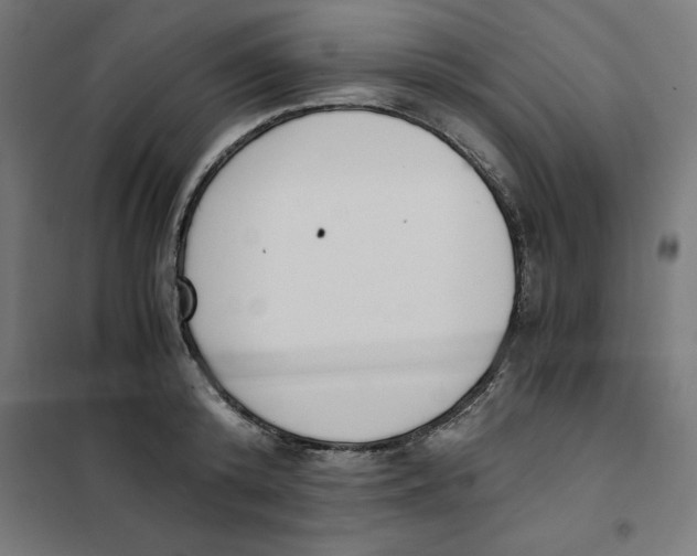 X0000101680800200808071108