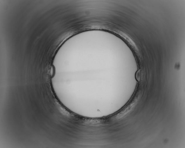 X0000101680801200808071108