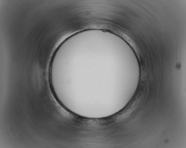 X0000101680803200808071108