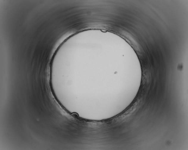 X0000101680804200808071108