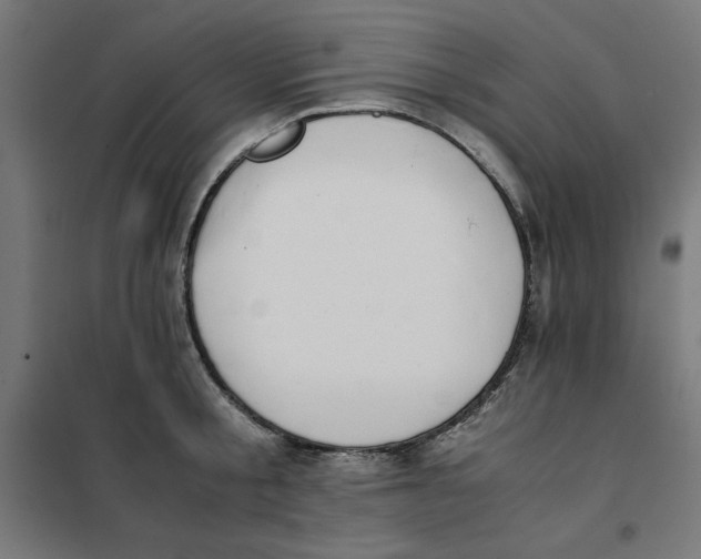 X0000101680805200808071108