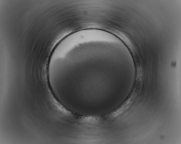 X0000101680806200808071108