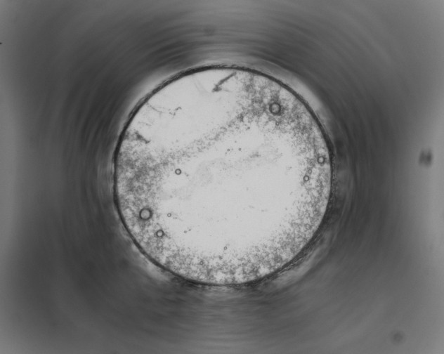 X0000101680807200808071108
