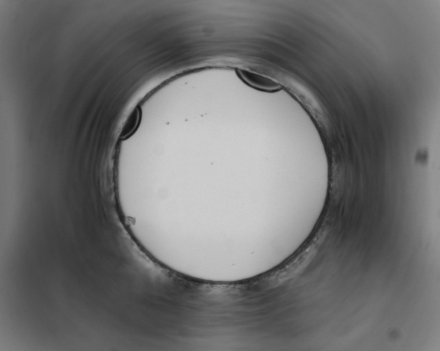 X0000101680808200808071108