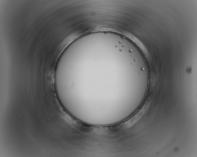 X0000101680809200808071107