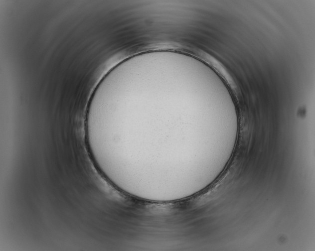 X0000101680810200808071107