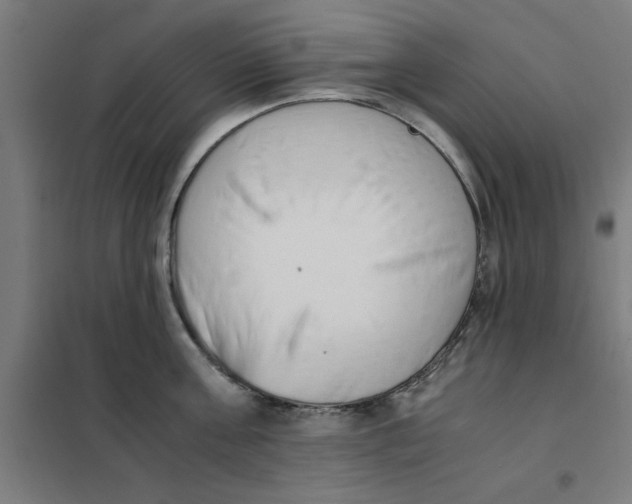 X0000101680811200808071107