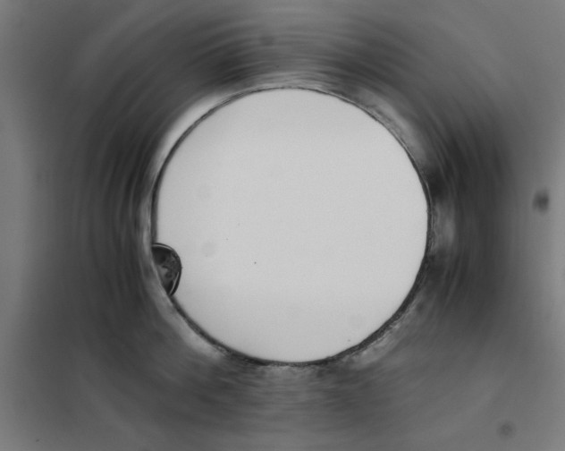 X0000101680812200808071107