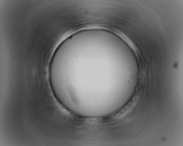 X0000101680813200808071107