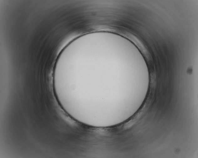 X0000101680814200808071107
