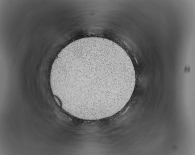 X0000101680817200808071107