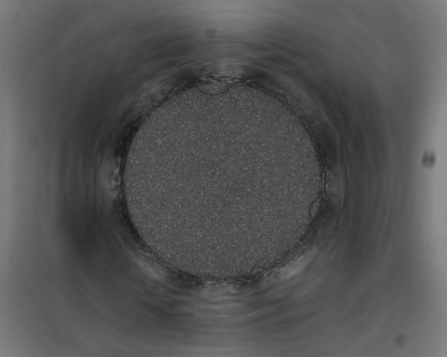 X0000101680818200808071107