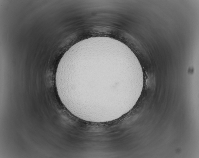 X0000101680819200808071107