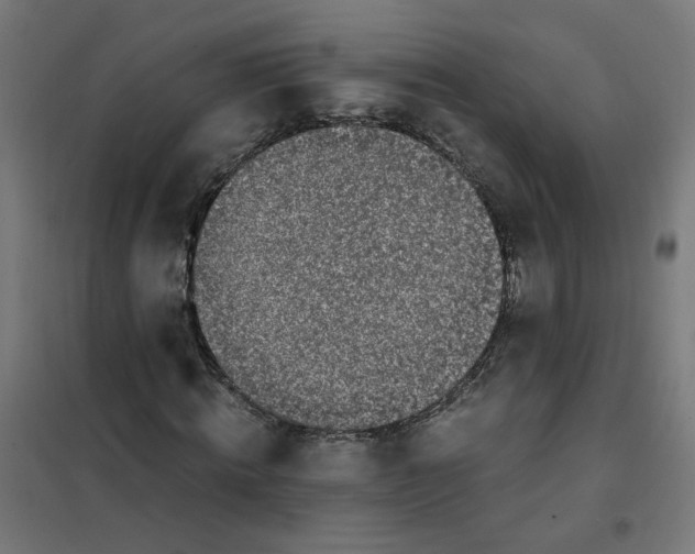 X0000101680820200808071107