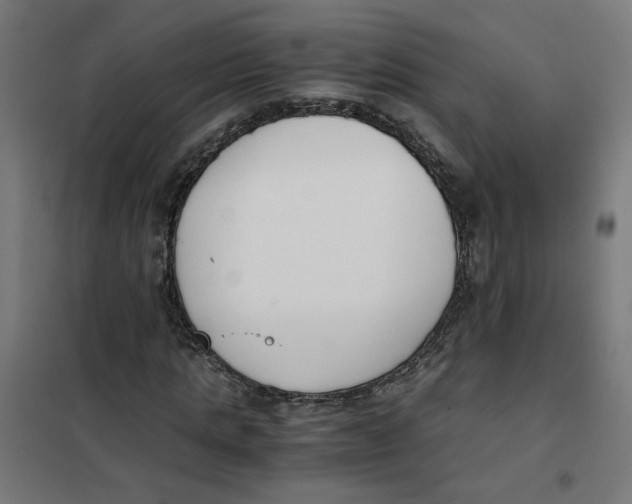 X0000101680821200808071107