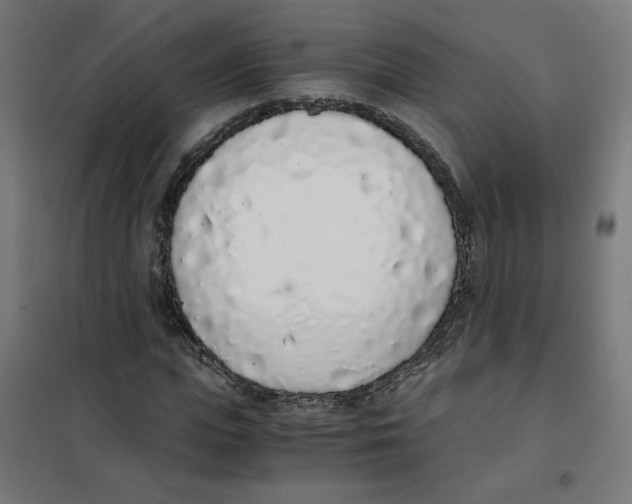 X0000101680823200808071107
