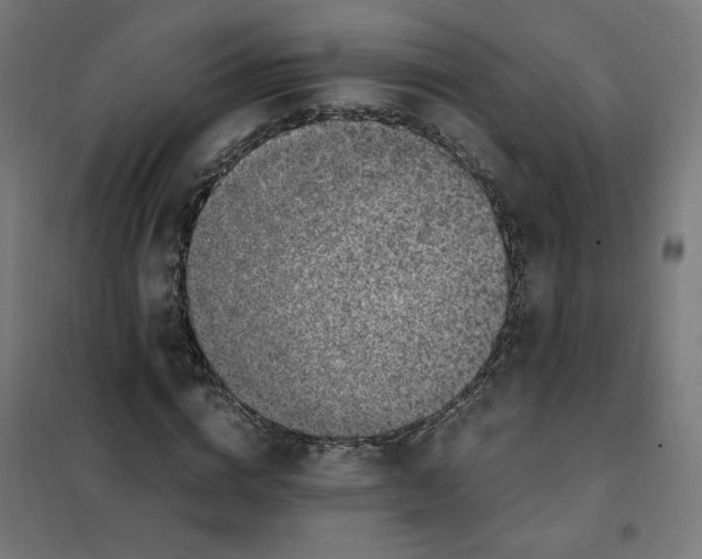 X0000101680824200808071107