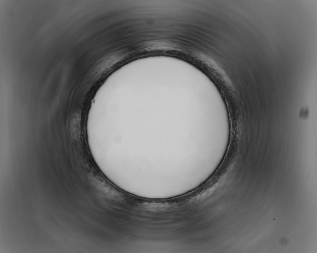X0000101680825200808071107