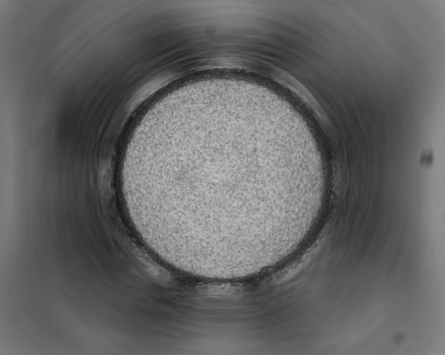 X0000101680826200808071107