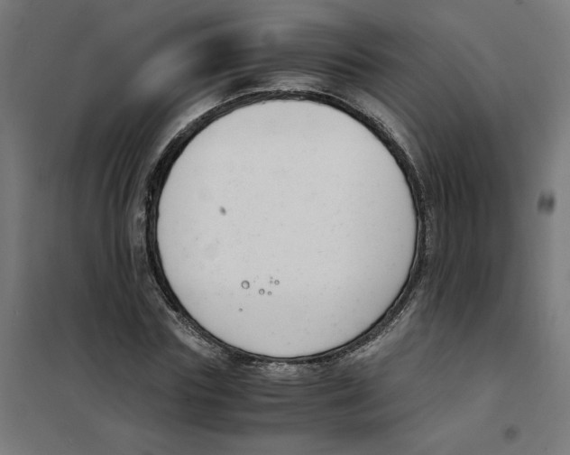 X0000101680827200808071107