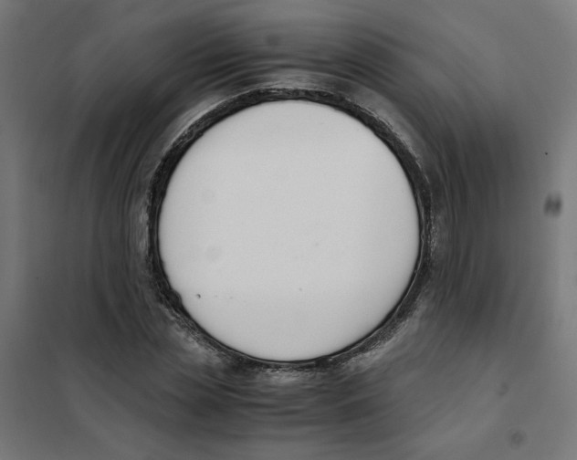 X0000101680829200808071107