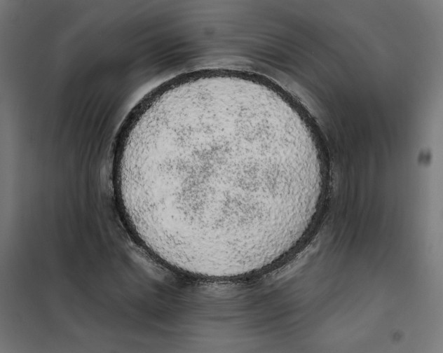 X0000101680830200808071107