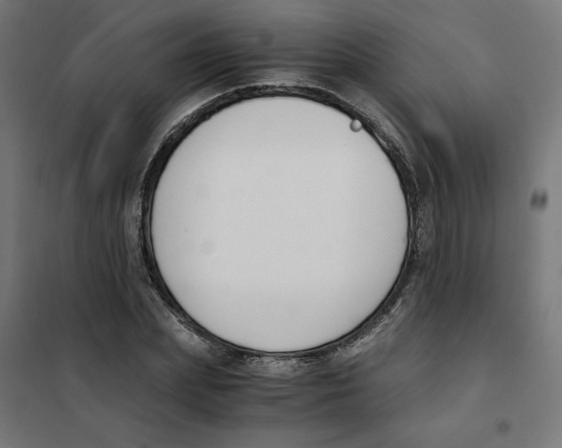 X0000101680831200808071107