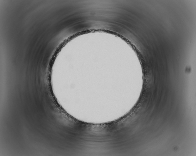 X0000101680832200808071107